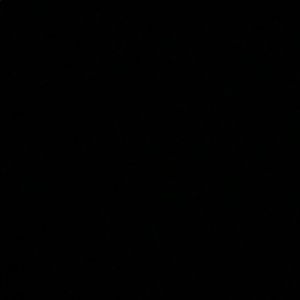 Meet your Posher, Raygan